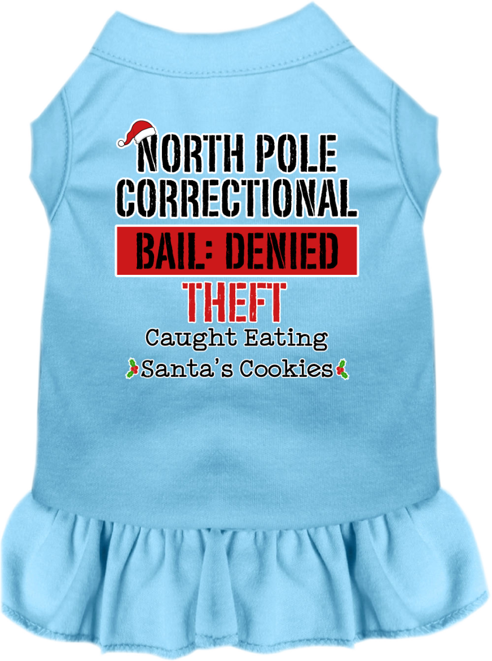 North Pole Correctional Screen Print Dog Dress Baby Blue Size LG